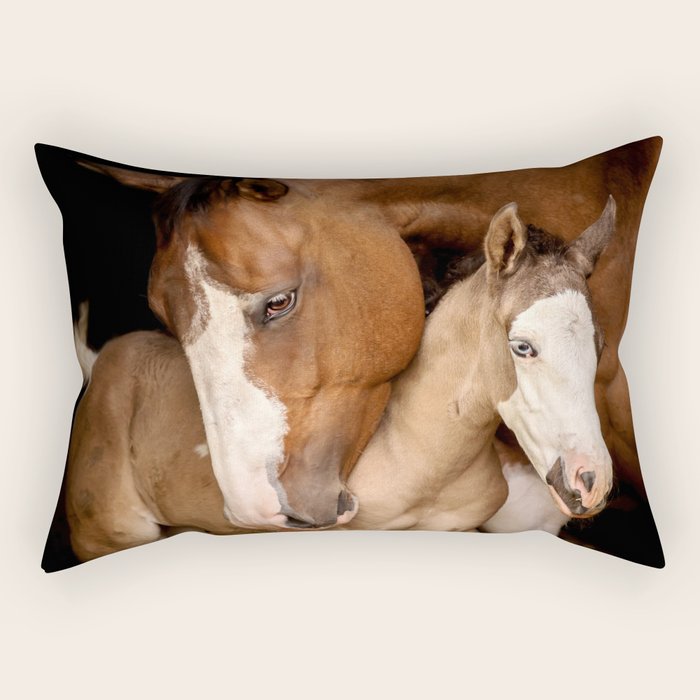 Foal and Mare hug - Equine fine art photograph Rectangular Pillow Gallery Image 2