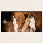 Foal and Mare hug - Equine fine art photograph Desk Mat Gallery Image 3