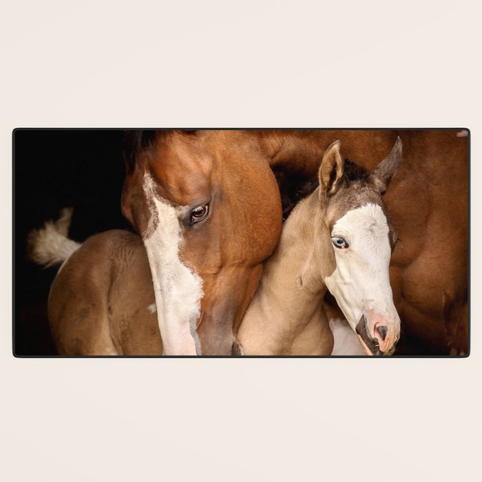 Foal and Mare hug - Equine fine art photograph Desk Mat Gallery Image 3