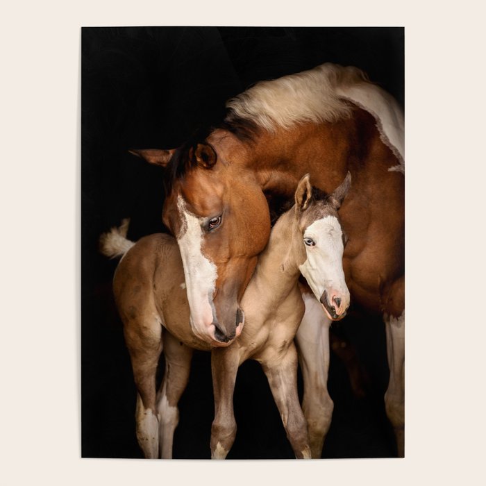 Foal and Mare hug - Equine fine art photograph Poster Gallery Image 4