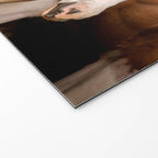 Foal and Mare hug - Equine fine art photograph Welcome Mat Gallery Image 2