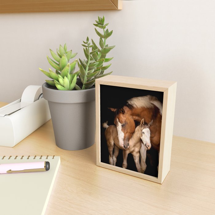 Foal and Mare hug - Equine fine art photograph Mini Art Print Gallery Image 2