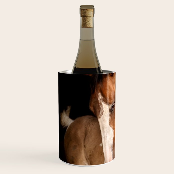 Foal and Mare hug - Equine fine art photograph Wine Chiller Gallery Image 2
