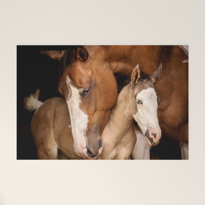 Foal and Mare hug - Equine fine art photograph Welcome Mat Gallery Image 1
