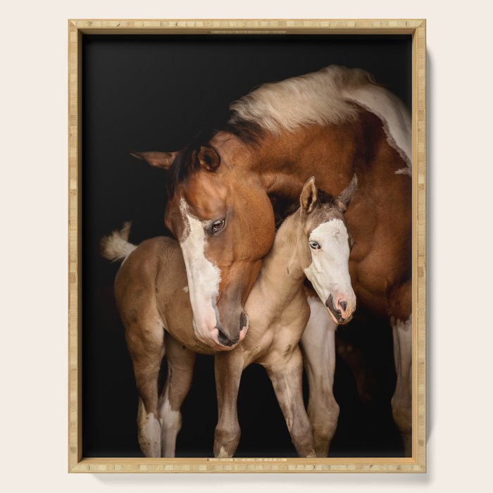 Foal and Mare hug - Equine fine art photograph Serving Tray Gallery Image 1