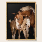 Foal and Mare hug - Equine fine art photograph Serving Tray Gallery Image 1