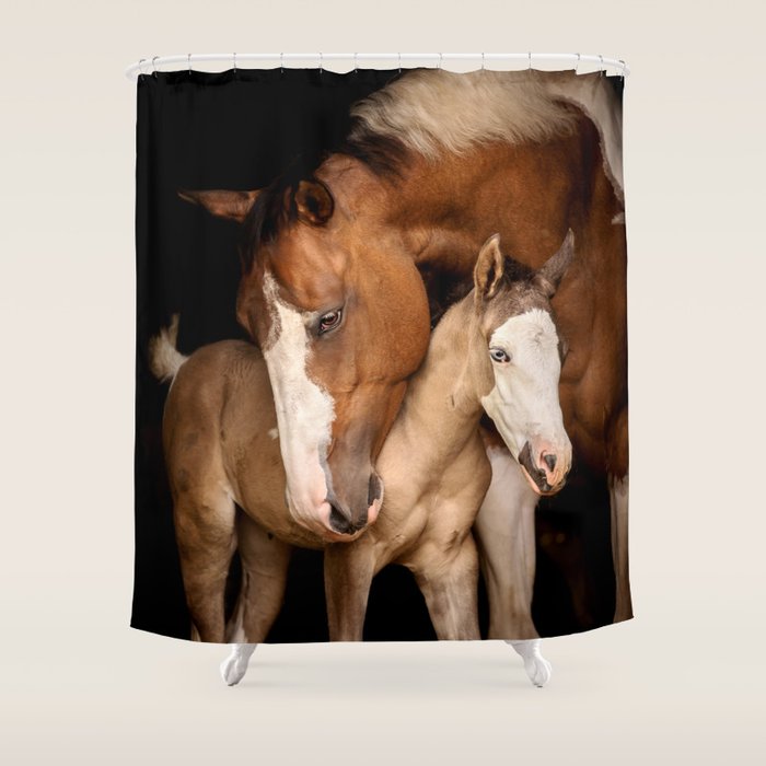 Foal and Mare hug - Equine fine art photograph Shower Curtain Gallery Image 1