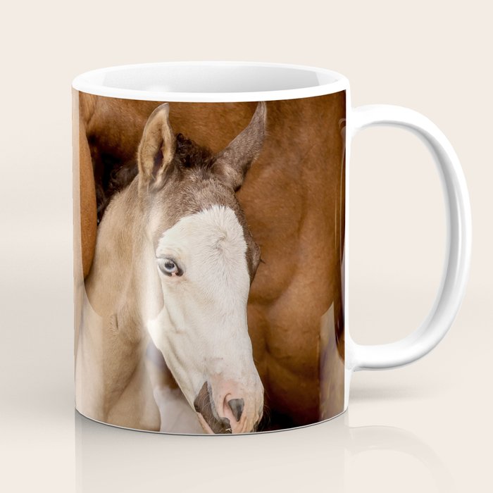 Foal and Mare hug - Equine fine art photograph Coffee Mug Gallery Image 1