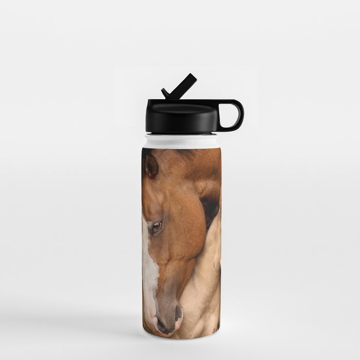 Foal and Mare hug - Equine fine art photograph Water Bottle Gallery Image 1