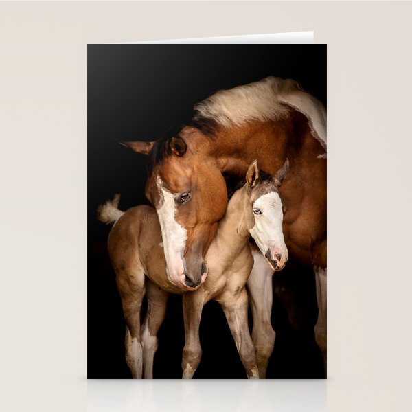 Foal and Mare hug - Equine fine art photograph Stationery Card Gallery Image 2