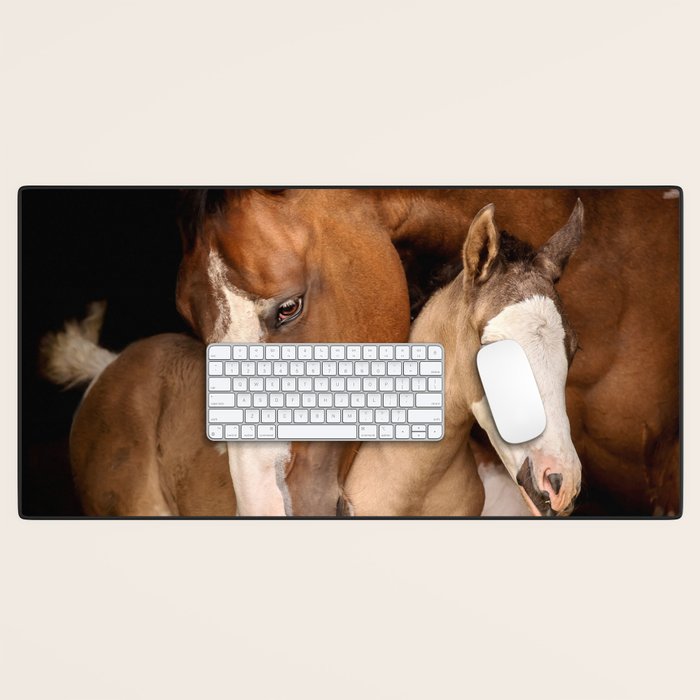 Foal and Mare hug - Equine fine art photograph Desk Mat Gallery Image 1