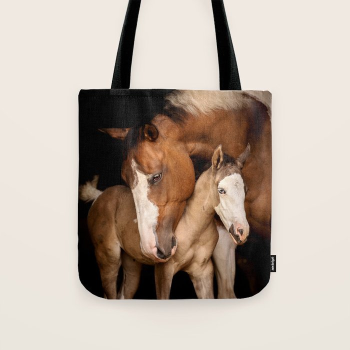 Foal and Mare hug - Equine fine art photograph Tote Bag Gallery Image 1