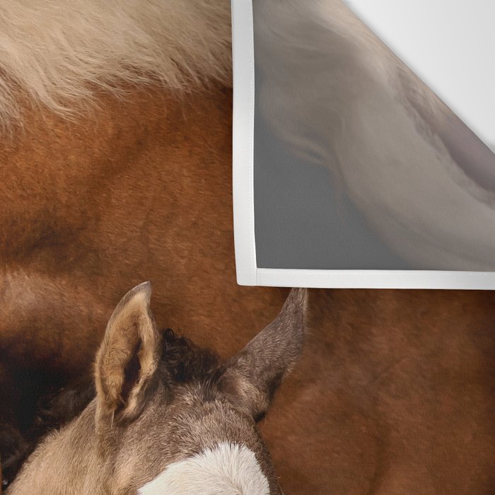 Foal and Mare hug - Equine fine art photograph Wall Tapestry Gallery Image 3