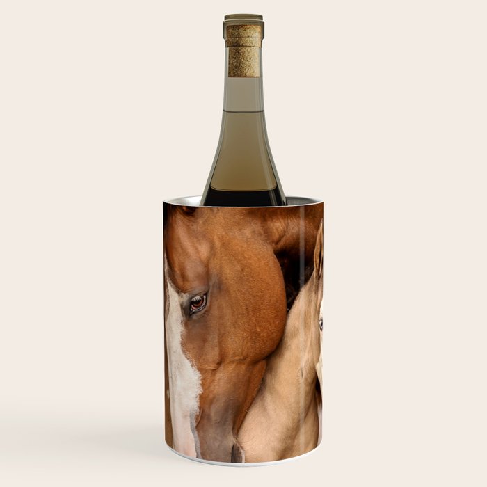 Foal and Mare hug - Equine fine art photograph Wine Chiller Gallery Image 1