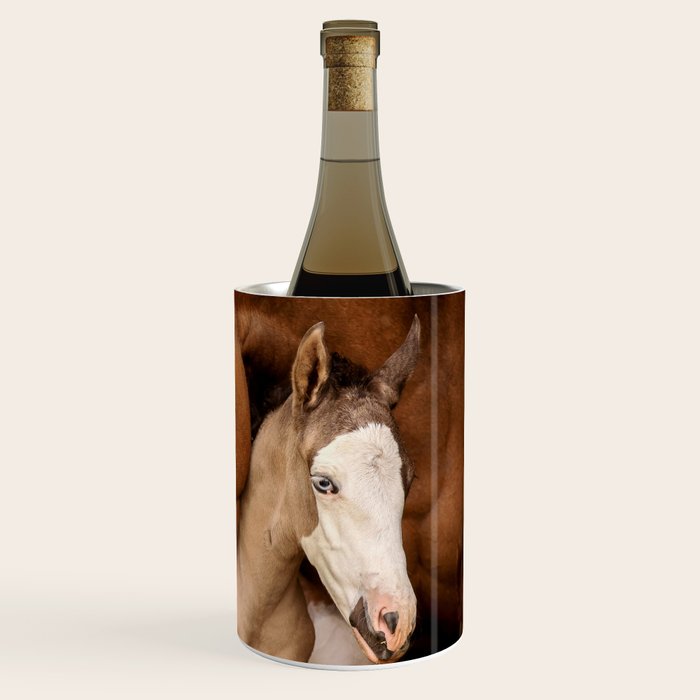 Foal and Mare hug - Equine fine art photograph Wine Chiller Gallery Image 3