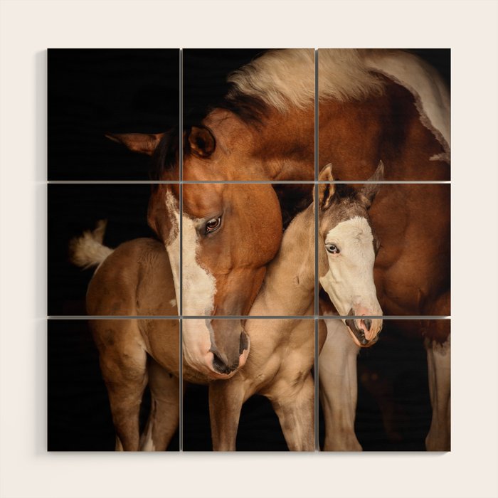 Foal and Mare hug - Equine fine art photograph Wood Wall Art Gallery Image 1