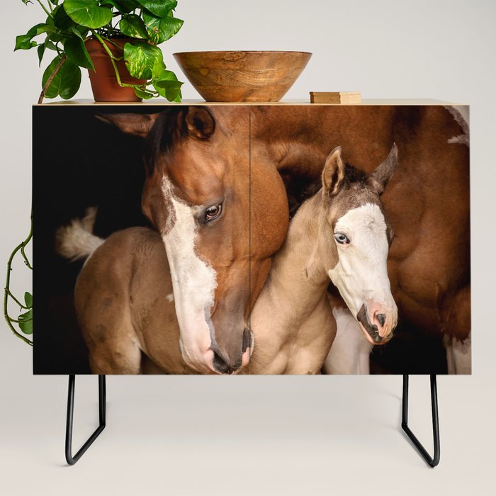Foal and Mare hug - Equine fine art photograph Credenza Gallery Image 2