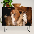 Foal and Mare hug - Equine fine art photograph Credenza Gallery Image 2