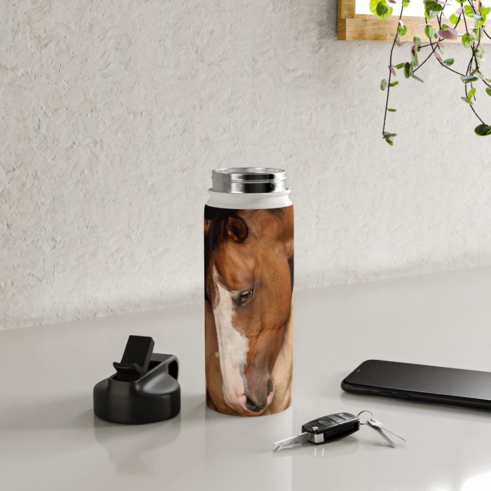 Foal and Mare hug - Equine fine art photograph Water Bottle Gallery Image 4