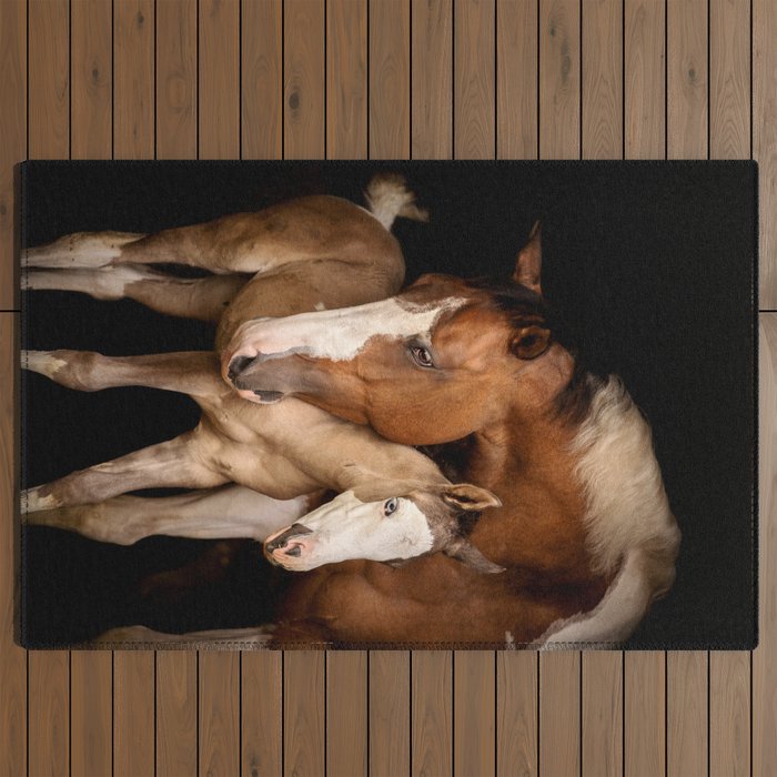 Foal and Mare hug - Equine fine art photograph Outdoor Rug Gallery Image 2