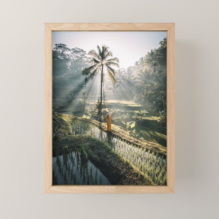 Rice Terrance Sunrise Mini Art Print Gallery Image 1
