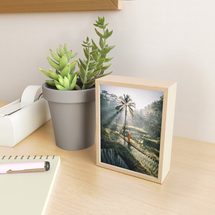 Rice Terrance Sunrise Mini Art Print Gallery Image 2