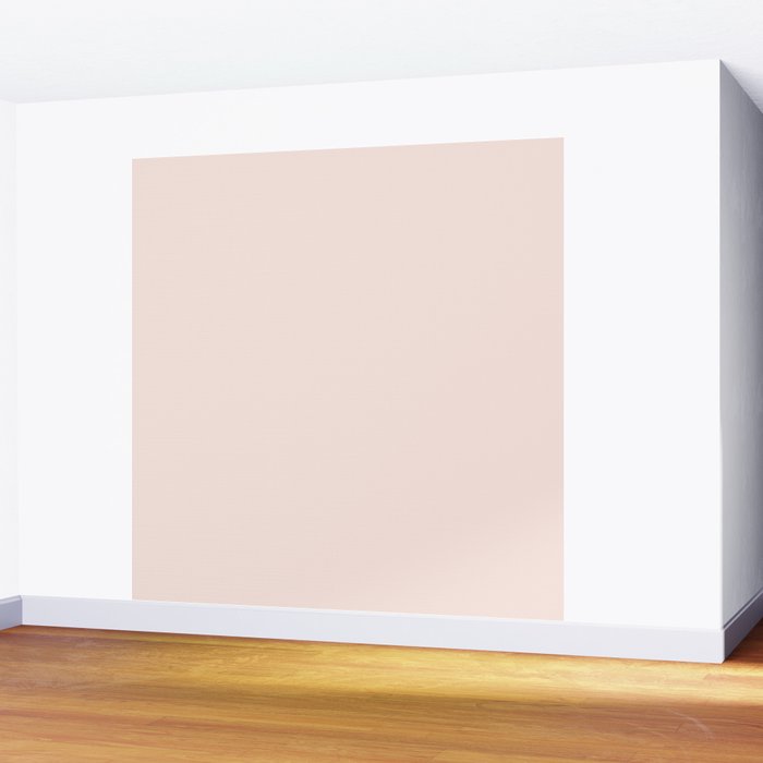 Perfect Pale Light Blush Pink Solid Color Wall Mural Gallery Image 2
