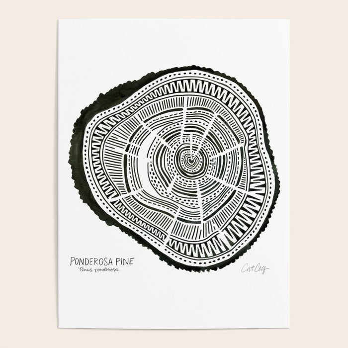 Ponderosa Pine - Black Poster Gallery Image 1