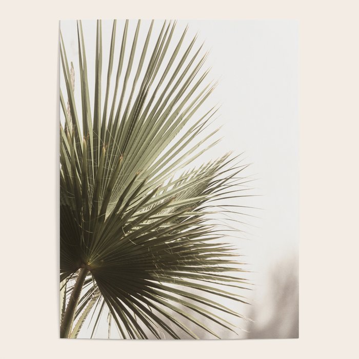 Palm Leaf Tropical Poster Gallery Image 1