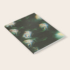 The Unknowable Notebook Gallery Image 2