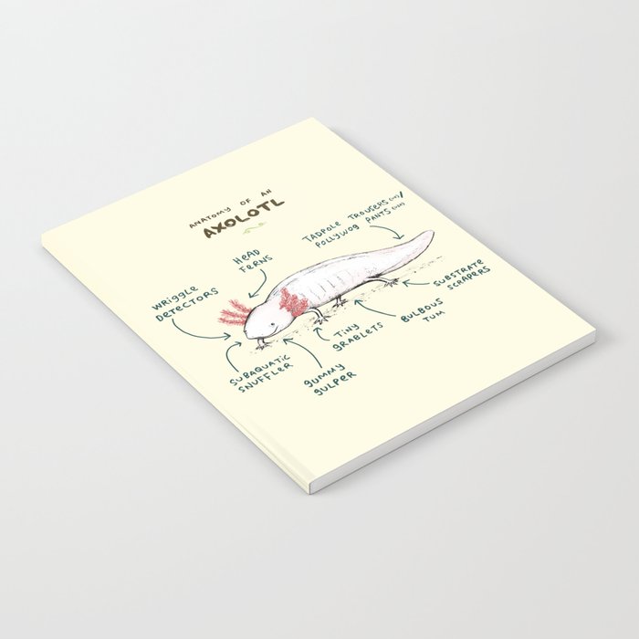 Anatomy of an Axolotl Notebook Gallery Image 2