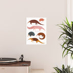 Pangolin, Anteater & Echidna Print Poster Gallery Image 2
