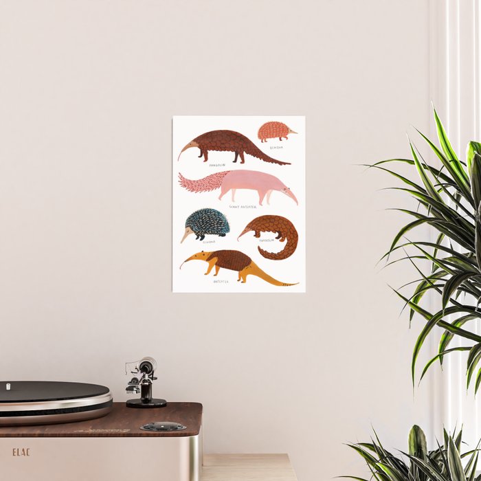 Pangolin, Anteater & Echidna Print Poster Gallery Image 2