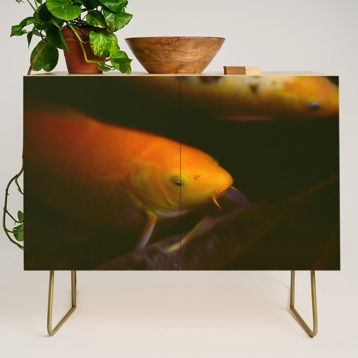 Goldfish and Koi in Summer Pond Credenza Gallery Image 1