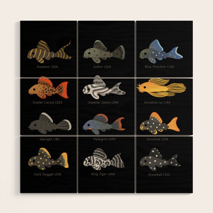 Pleco! Wood Wall Art Gallery Image 1