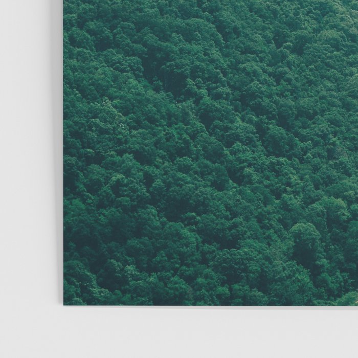 New River Gorge Wilderness Poster Gallery Image 3