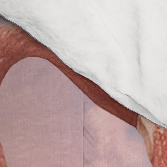 Flamingo Playground Comforter Gallery Image 4