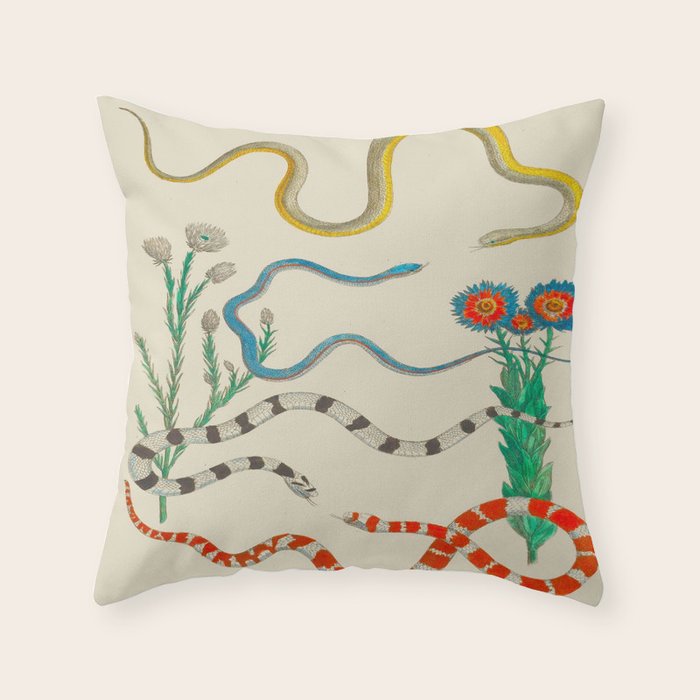 Locupletissimi rerum naturalium - vol. 2 - Albertus Seba Colorful Snake Floral Arrangement Throw Pillow Gallery Image 1