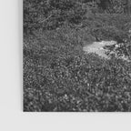 The Grand Teton in Black-and-White Poster Gallery Image 3