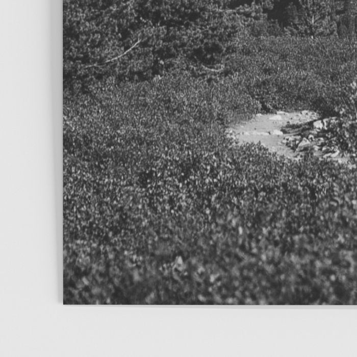 The Grand Teton in Black-and-White Poster Gallery Image 3