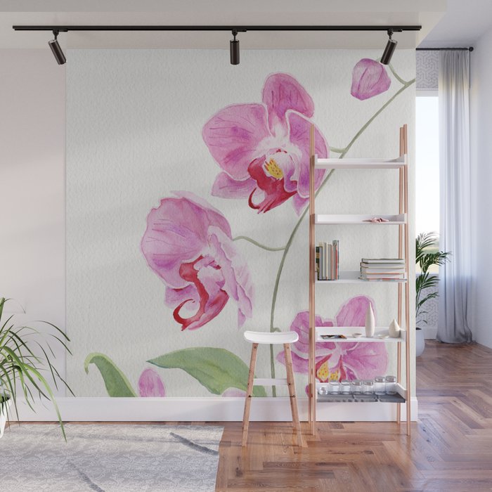 Orchid Wall Mural Gallery Image 1