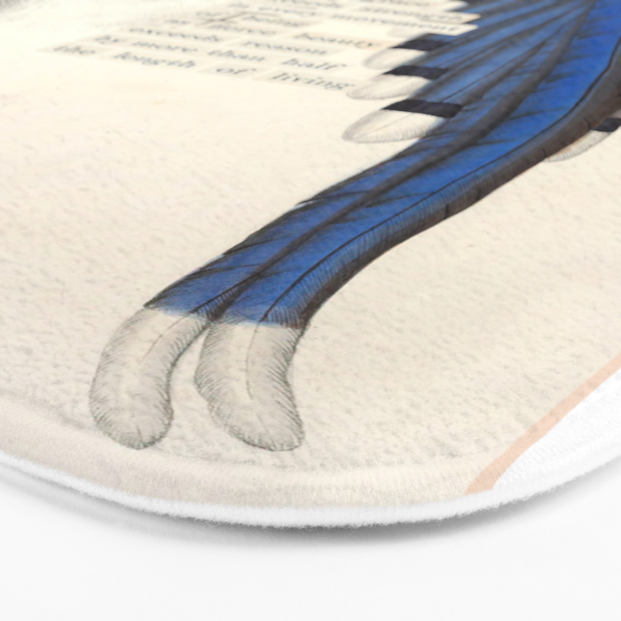 Bird Divinations: Red-Billed Blue Magpie (about: almanacofbirds.org) Bath Mat Gallery Image 3