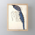 Bird Divinations: Red-Billed Blue Magpie (about: almanacofbirds.org) Mini Art Print Gallery Image 1