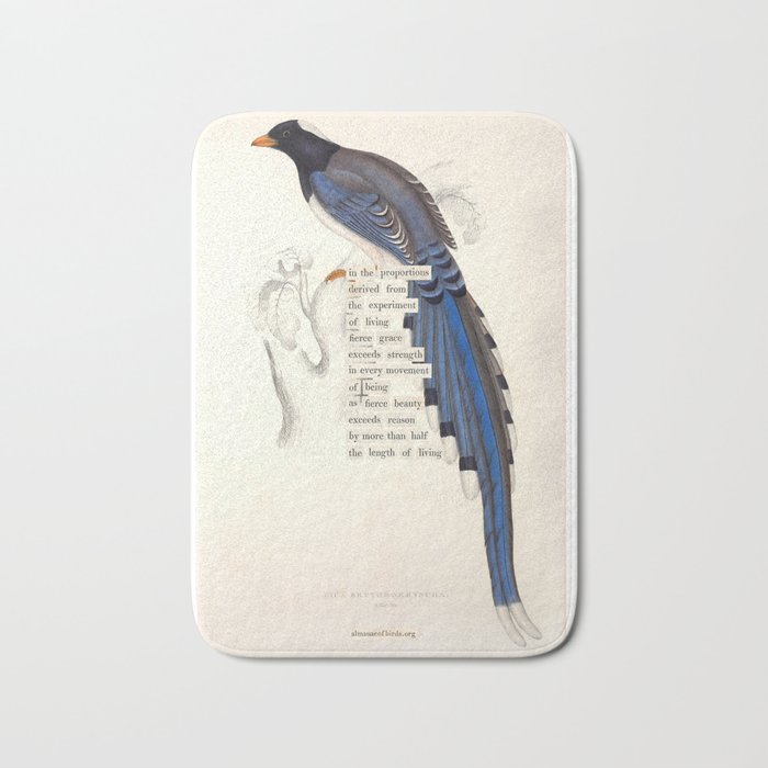 Bird Divinations: Red-Billed Blue Magpie (about: almanacofbirds.org) Bath Mat Gallery Image 1