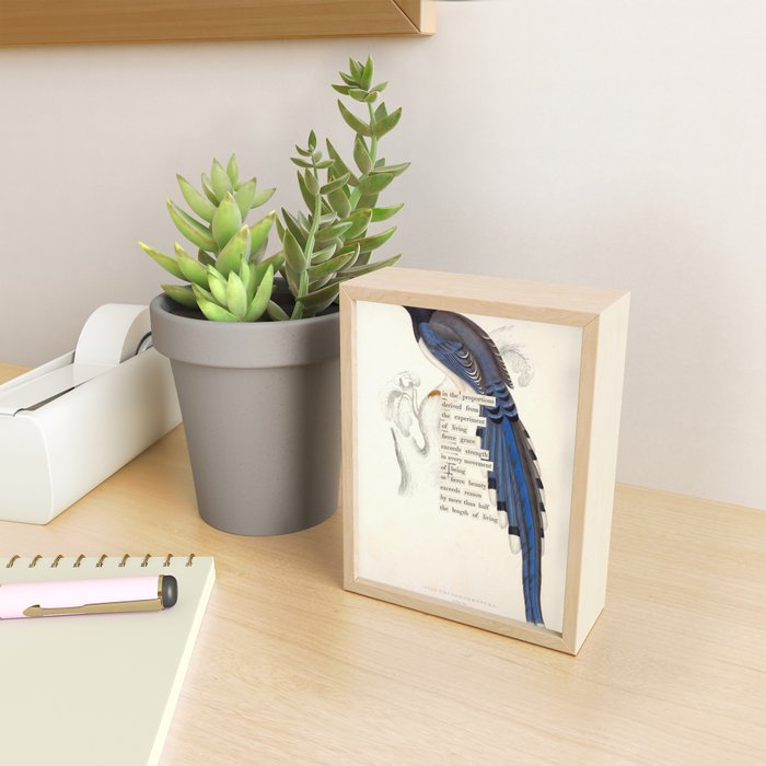 Bird Divinations: Red-Billed Blue Magpie (about: almanacofbirds.org) Mini Art Print Gallery Image 2