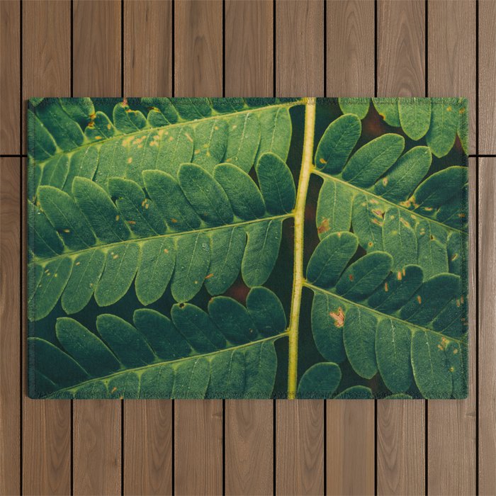Summer Fern Detail Outdoor Rug Gallery Image 1