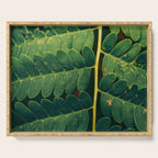 Summer Fern Detail Serving Tray Gallery Image 1