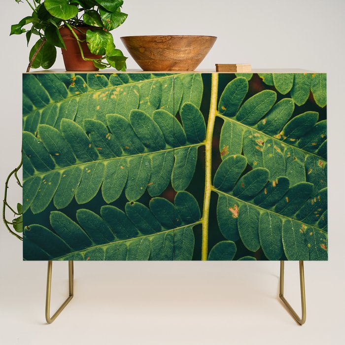 Summer Fern Detail Credenza Gallery Image 1