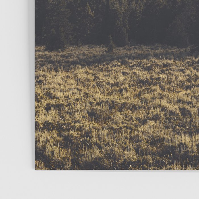Mountain Poetry - Grand Teton National Park Poster Gallery Image 3