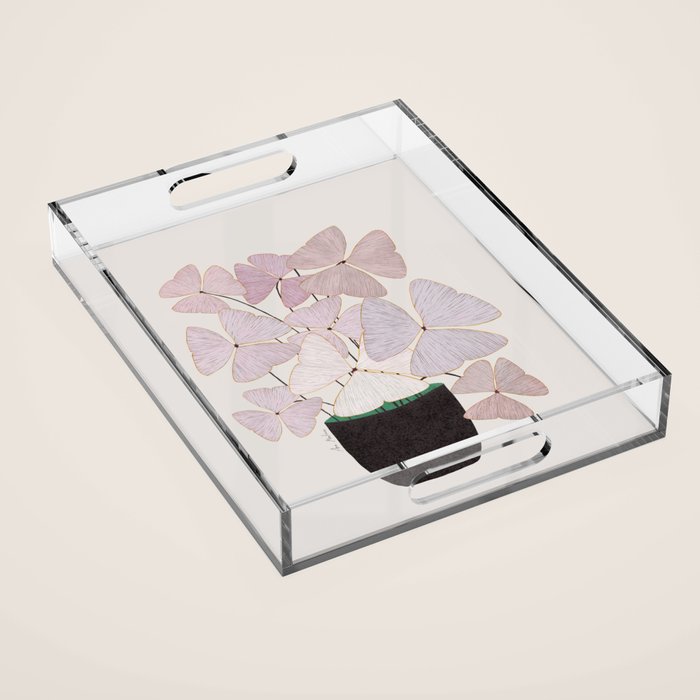  Botanical  clover Pot Acrylic Tray Gallery Image 1